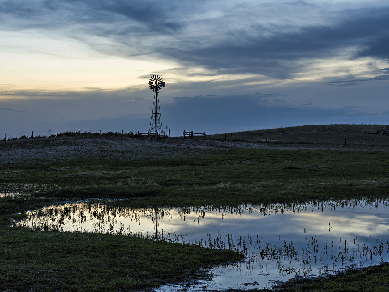 Reflections on a Wet Meadow