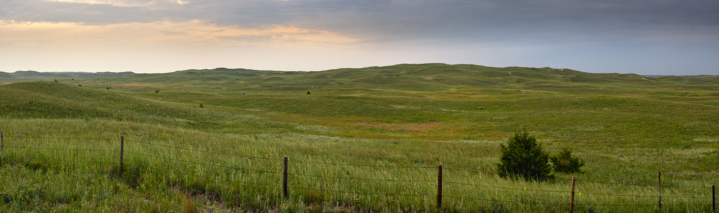 Remote Pasture