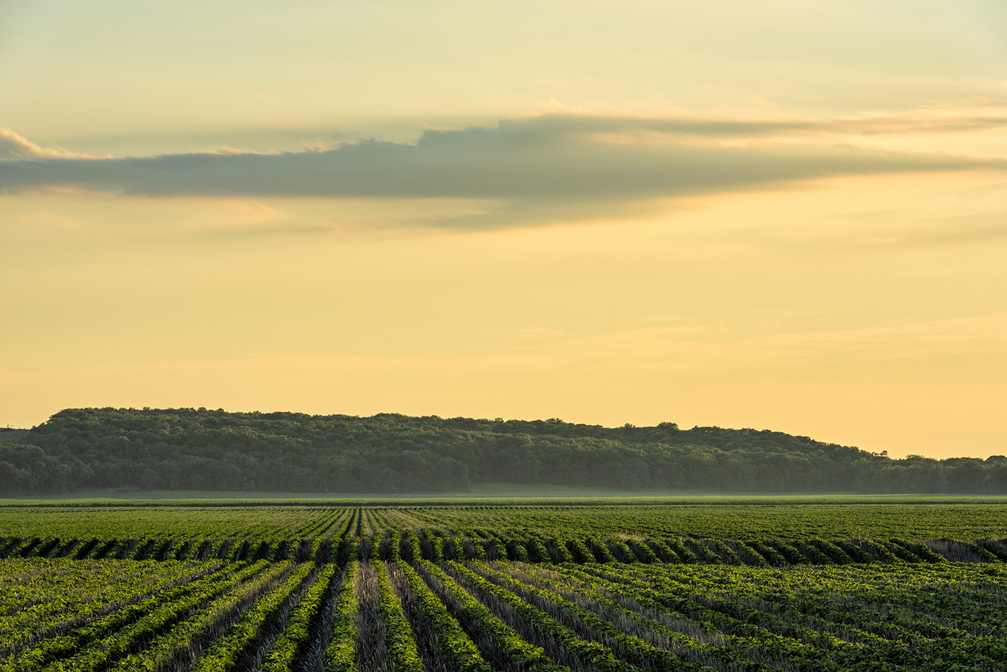 Richardson County Evening