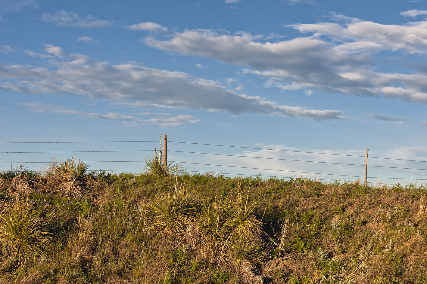 Ridgelines