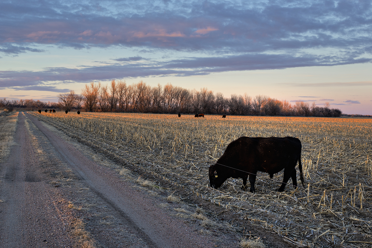 River Road Evening