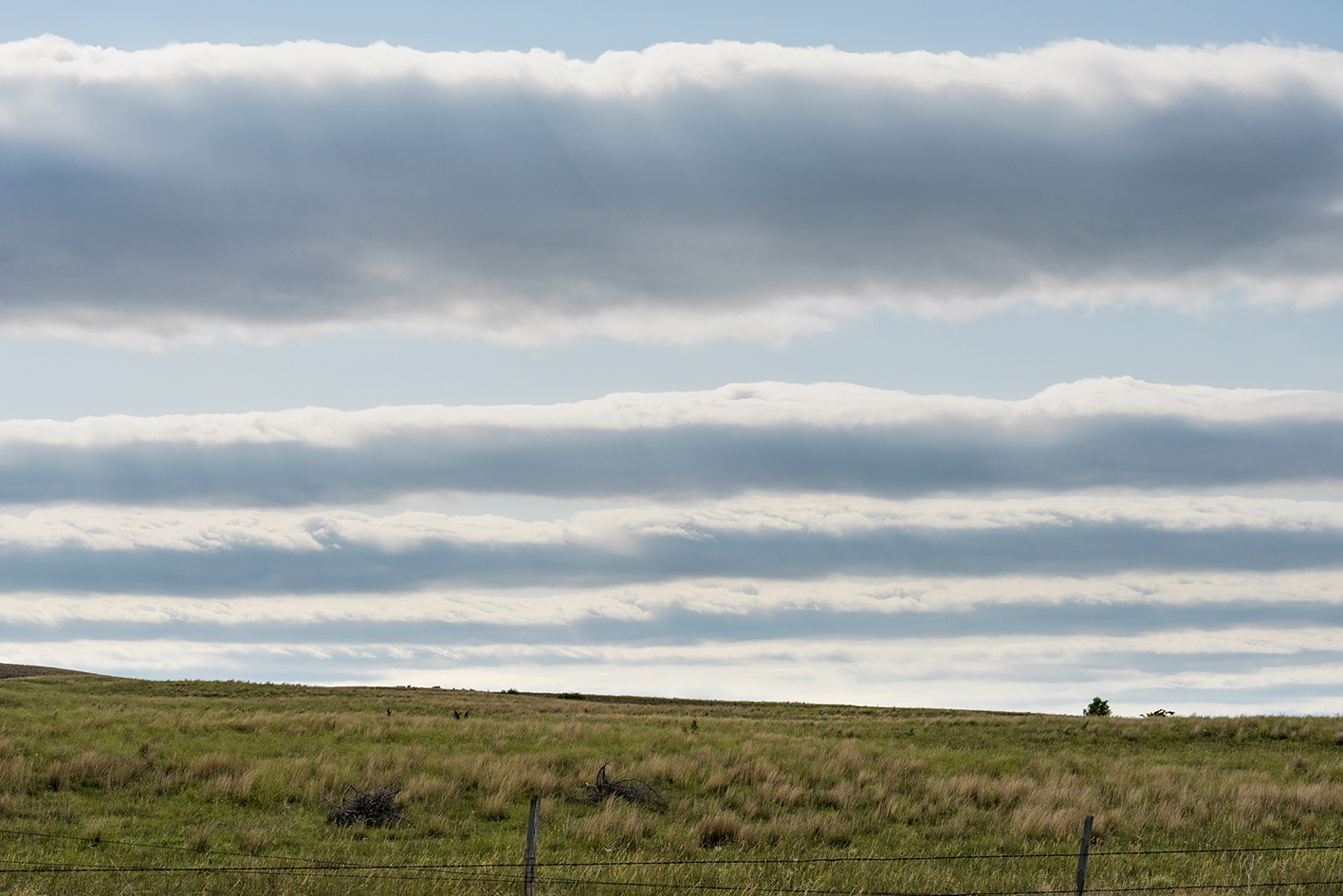 Rolling Around the Prairie IV