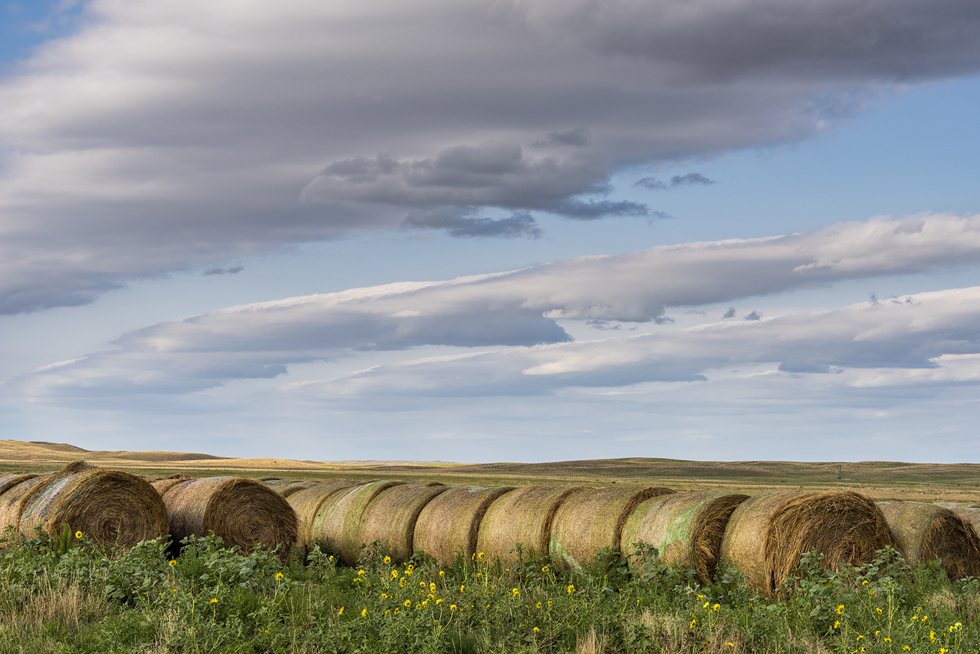 Rolling Around the Prairie V