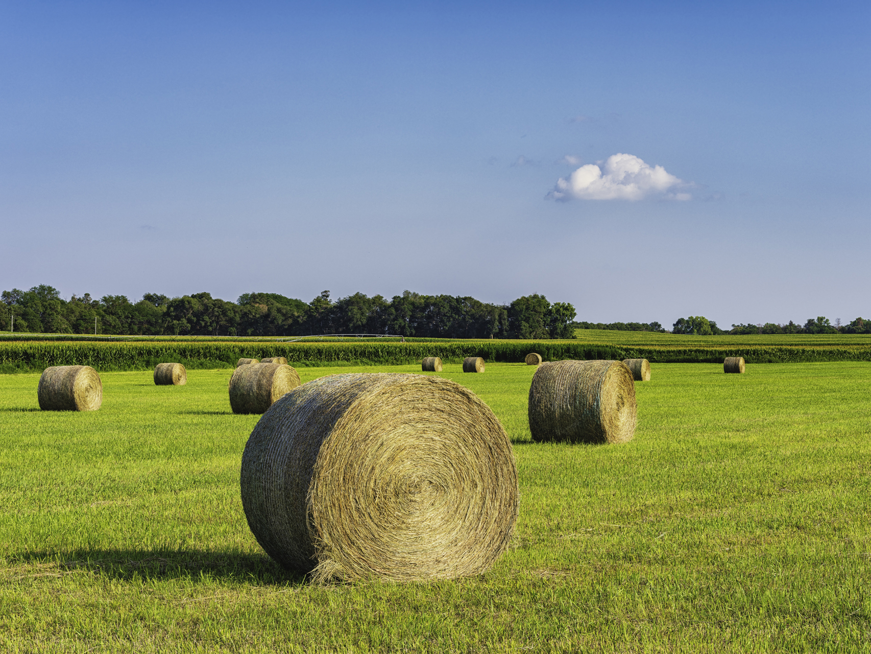 Rolling out the Pasture