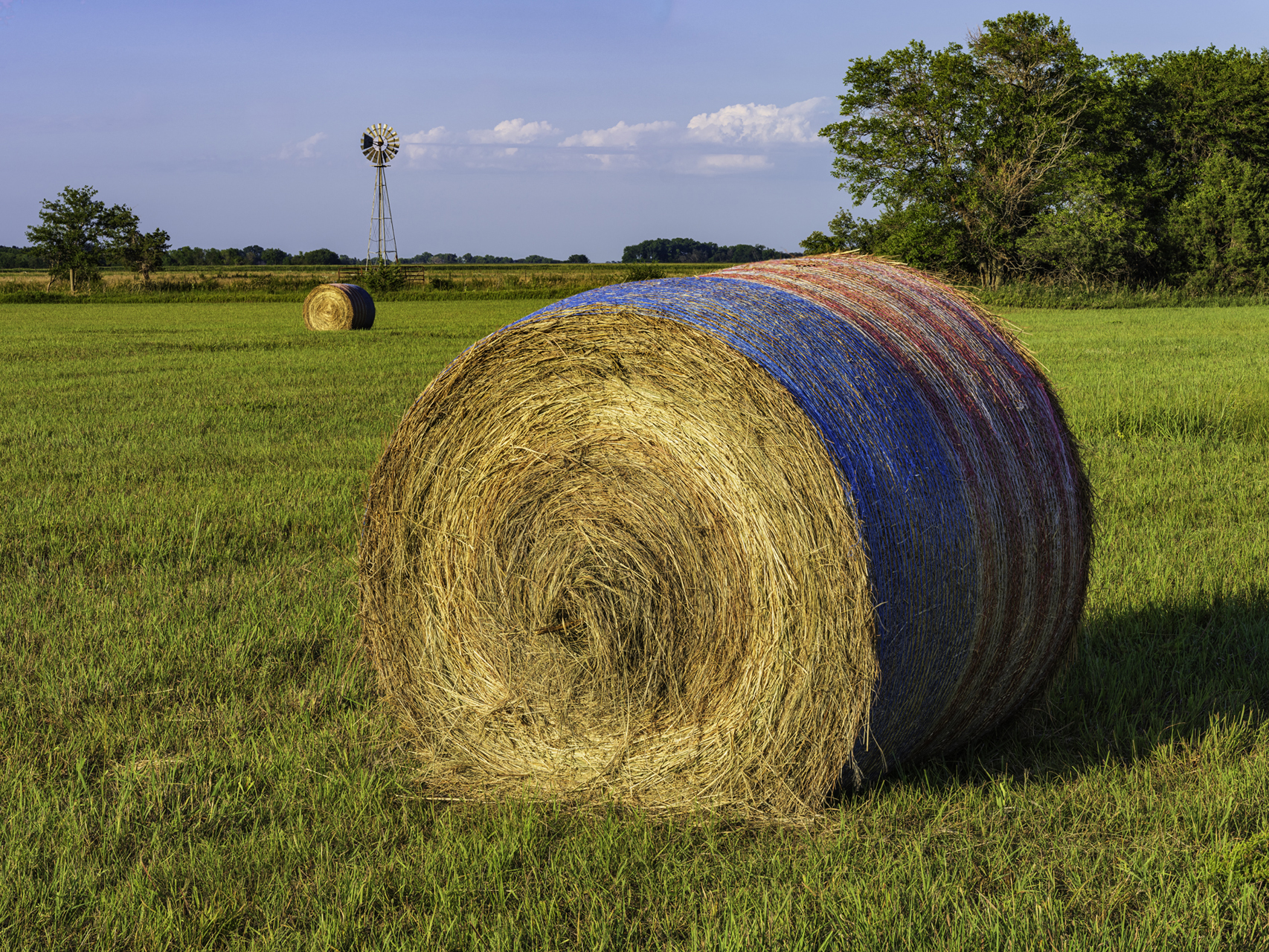 Rolling out the Pasture III