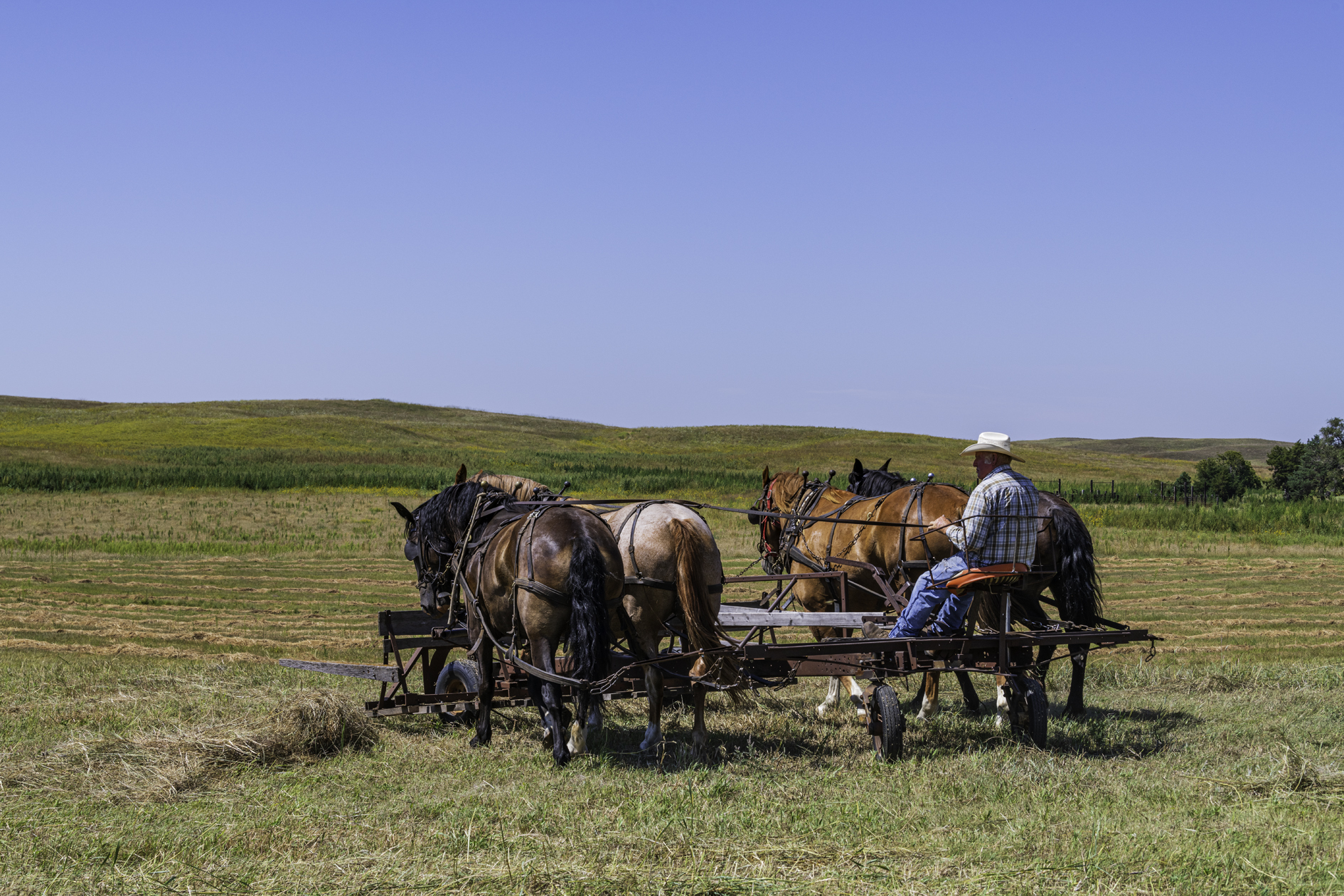 Rounding Up the Hay