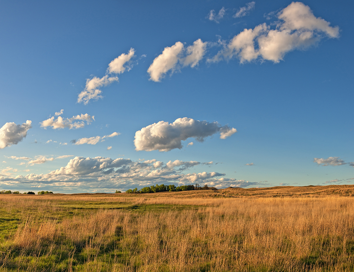 Sandhills Reverie