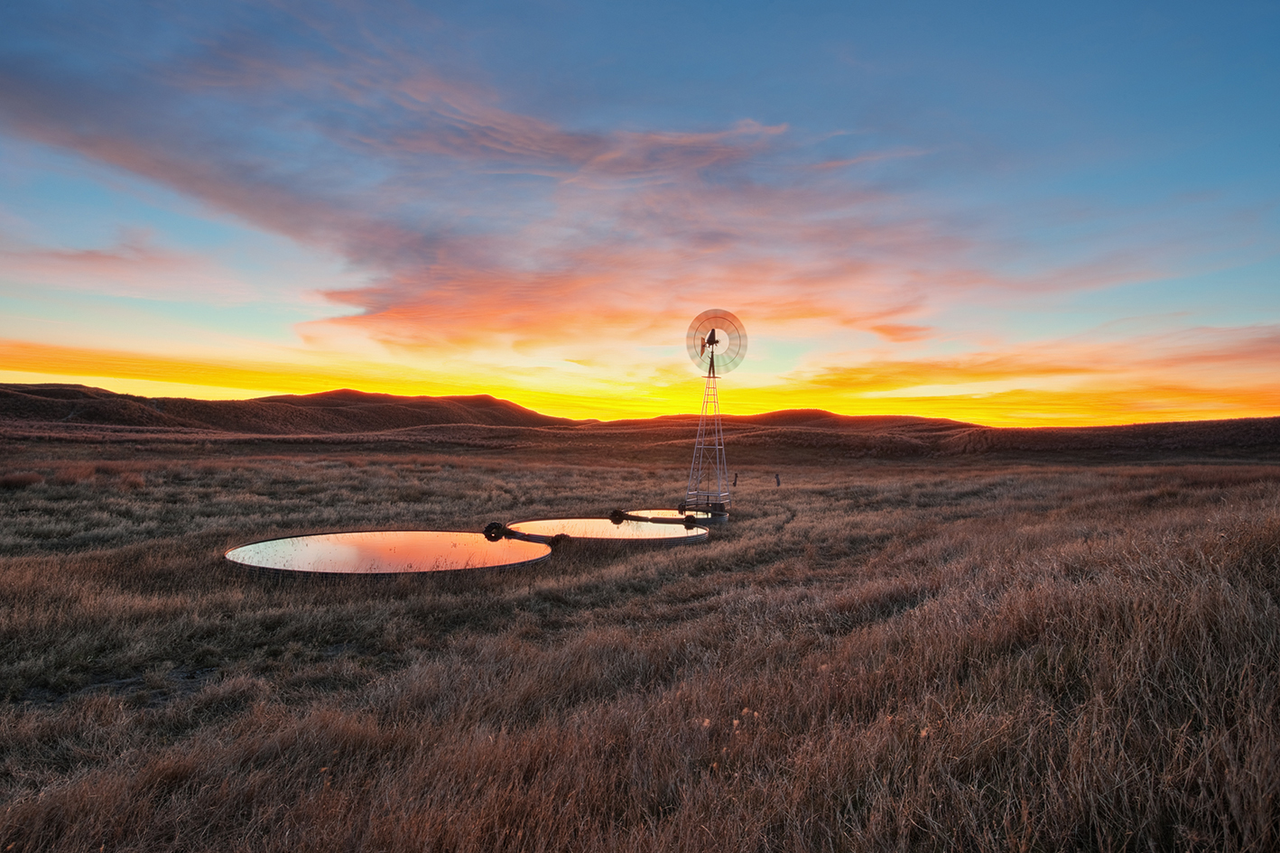 Sandhills Rising