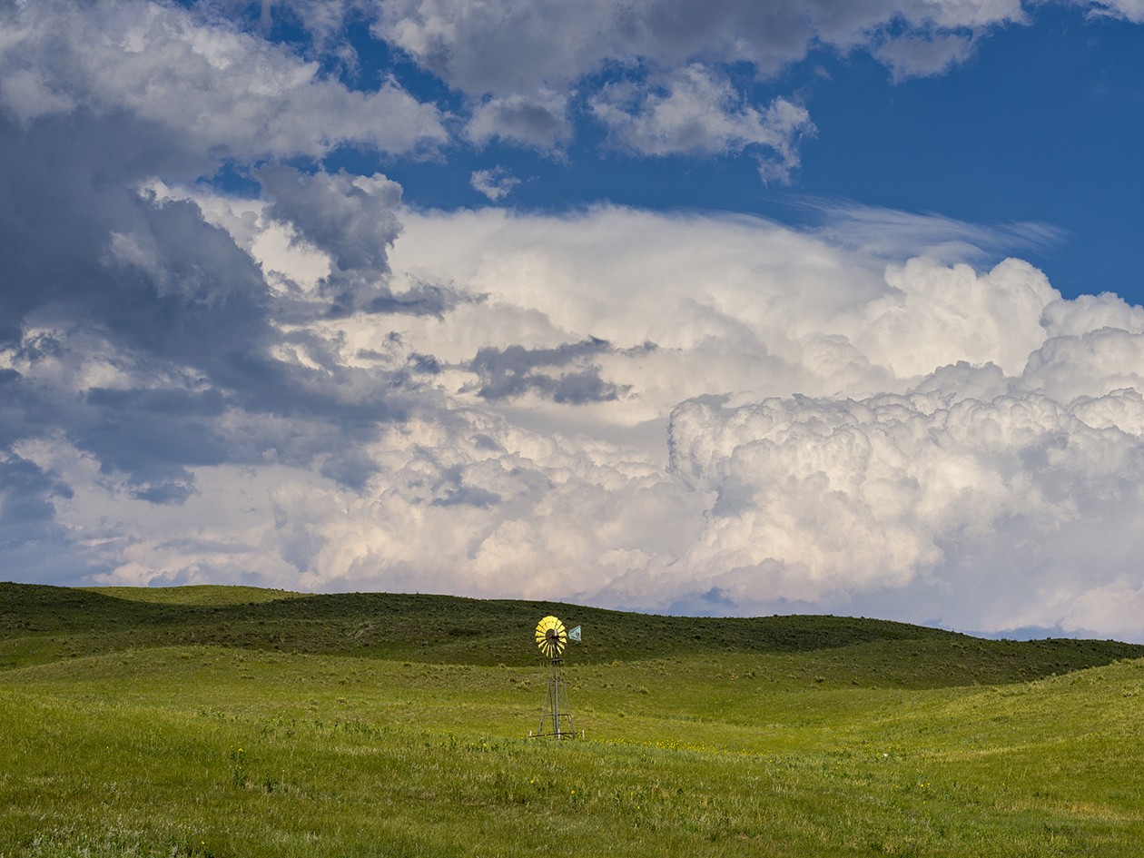 Sandhills Shadows II