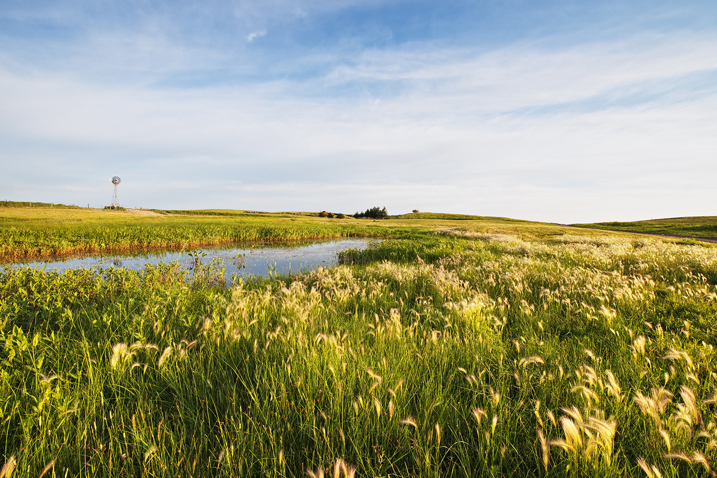 Sandhills Sonata