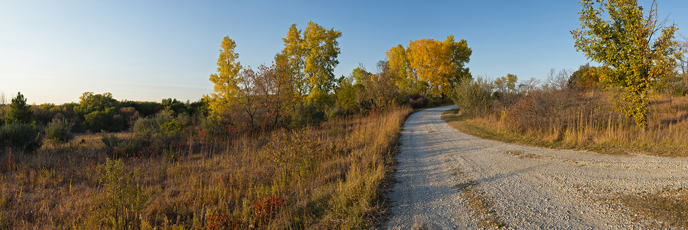 Saunders County Evening