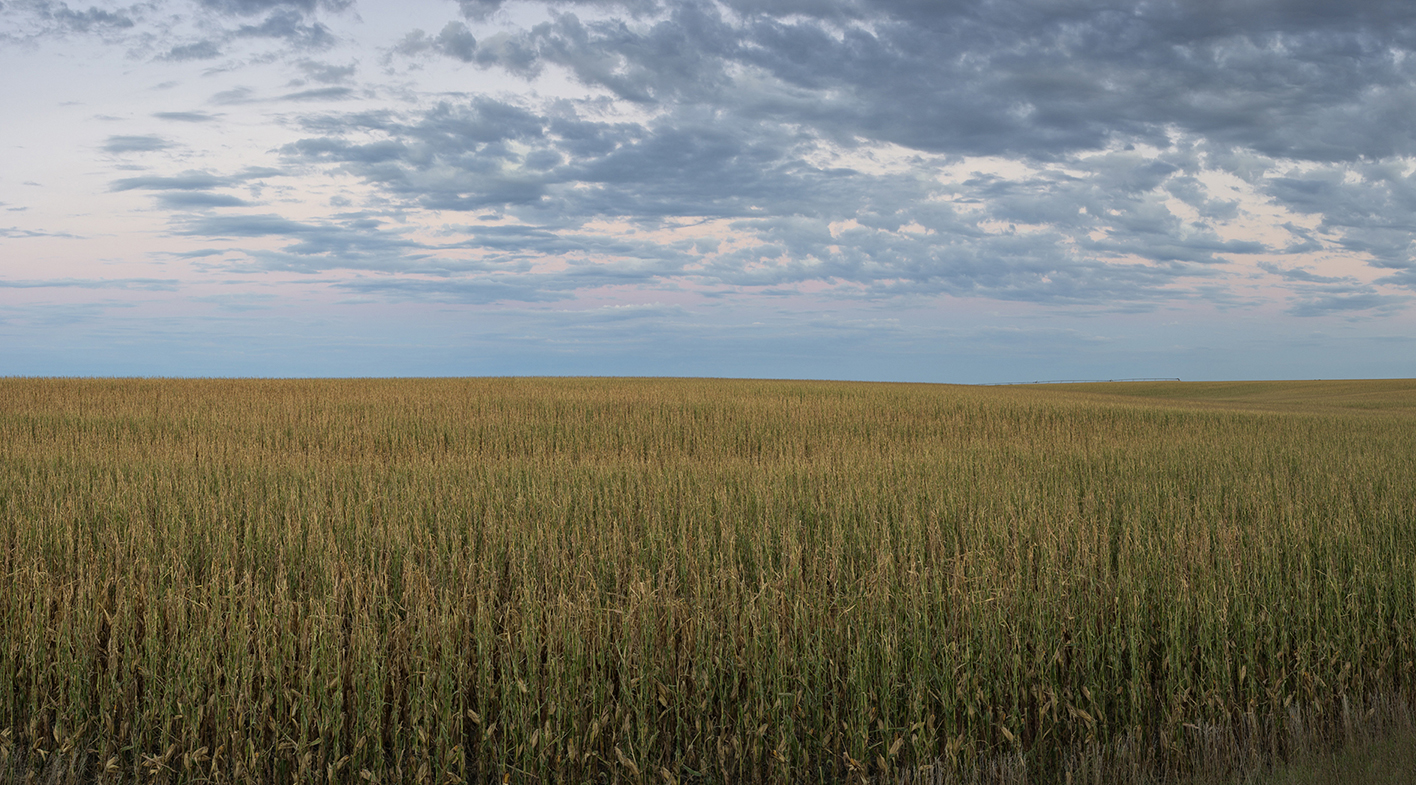 September in the Field