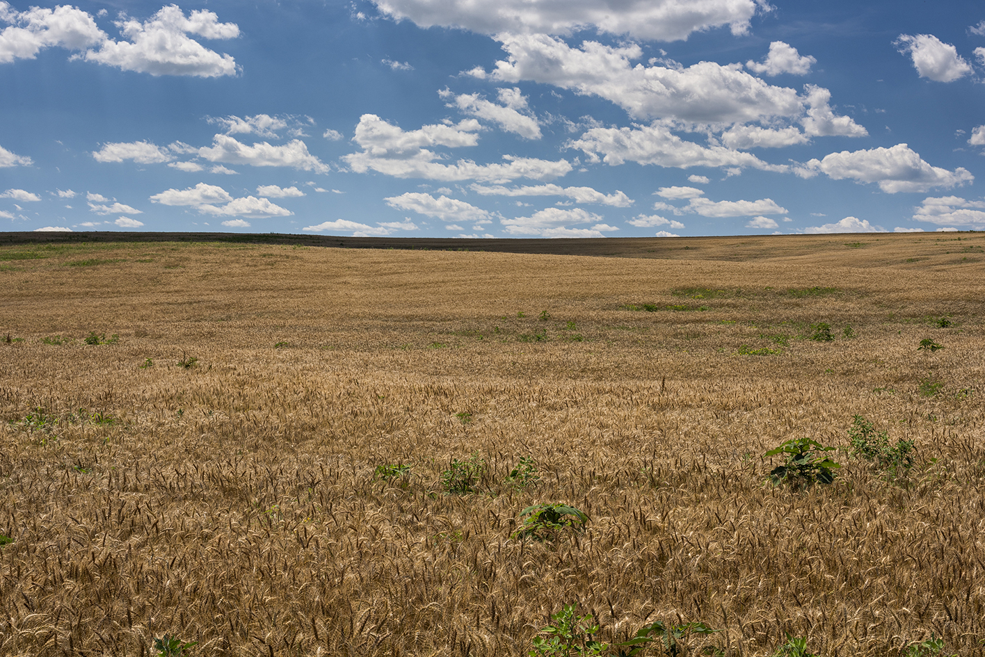 Shadow on the Hill II