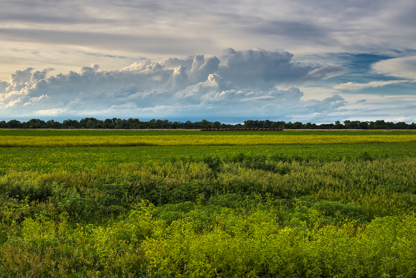 Shoemaker Island Evening