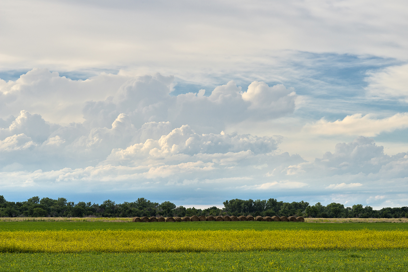 Shoemaker Island Evening III