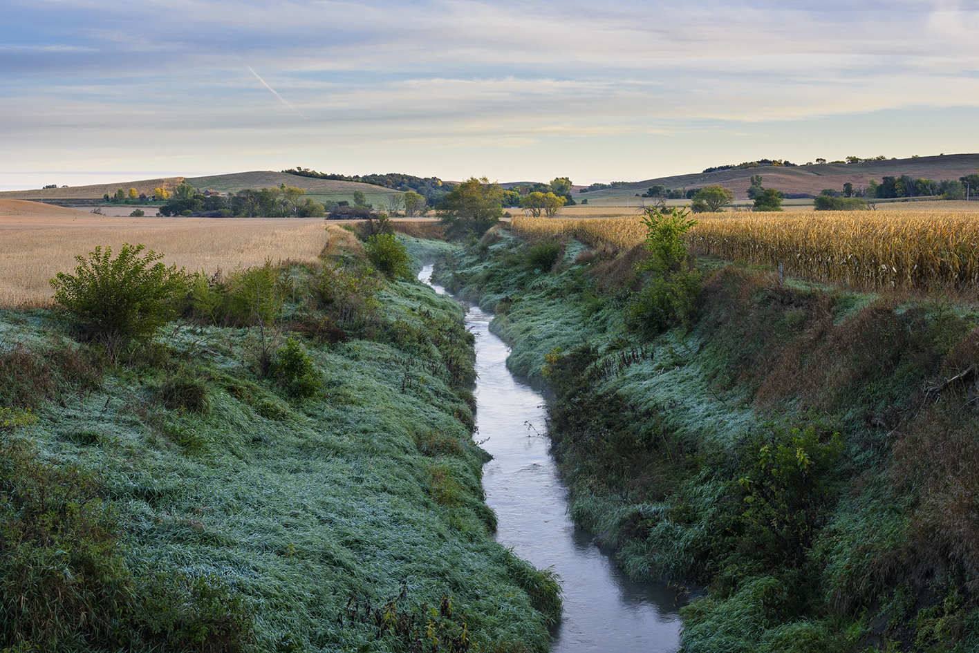 Silver Creek Morning