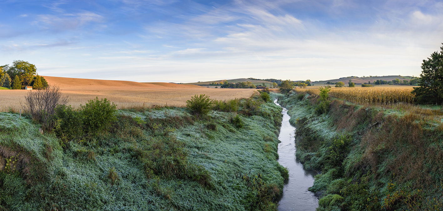 Silver Creek Morning II