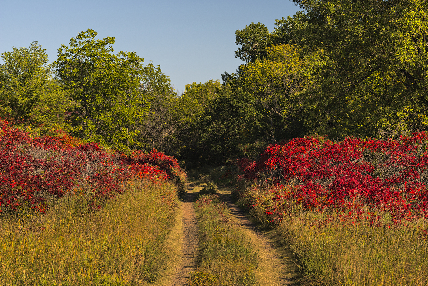 Slipping into Autumn