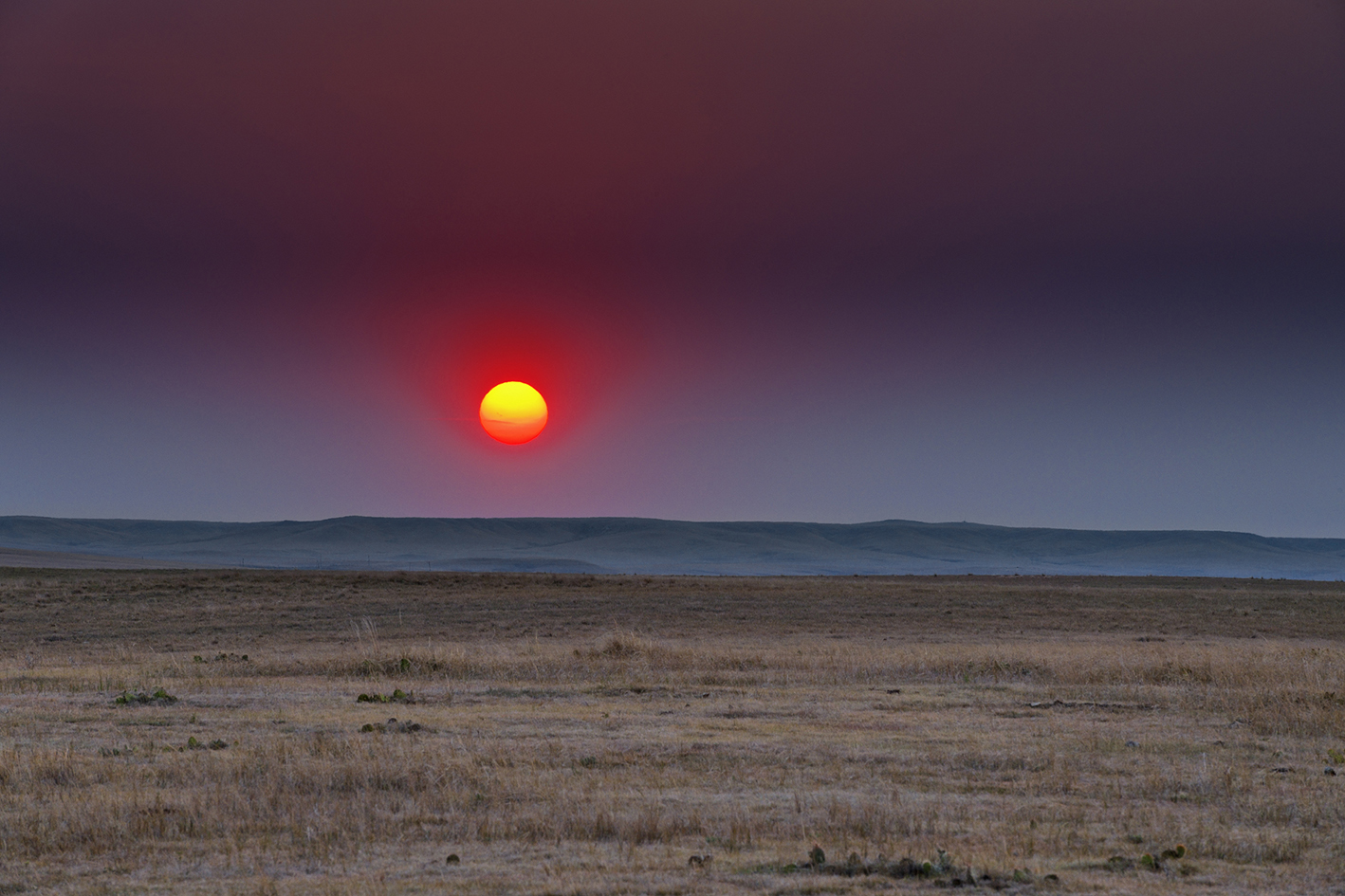 Smoke from a Distant Fire