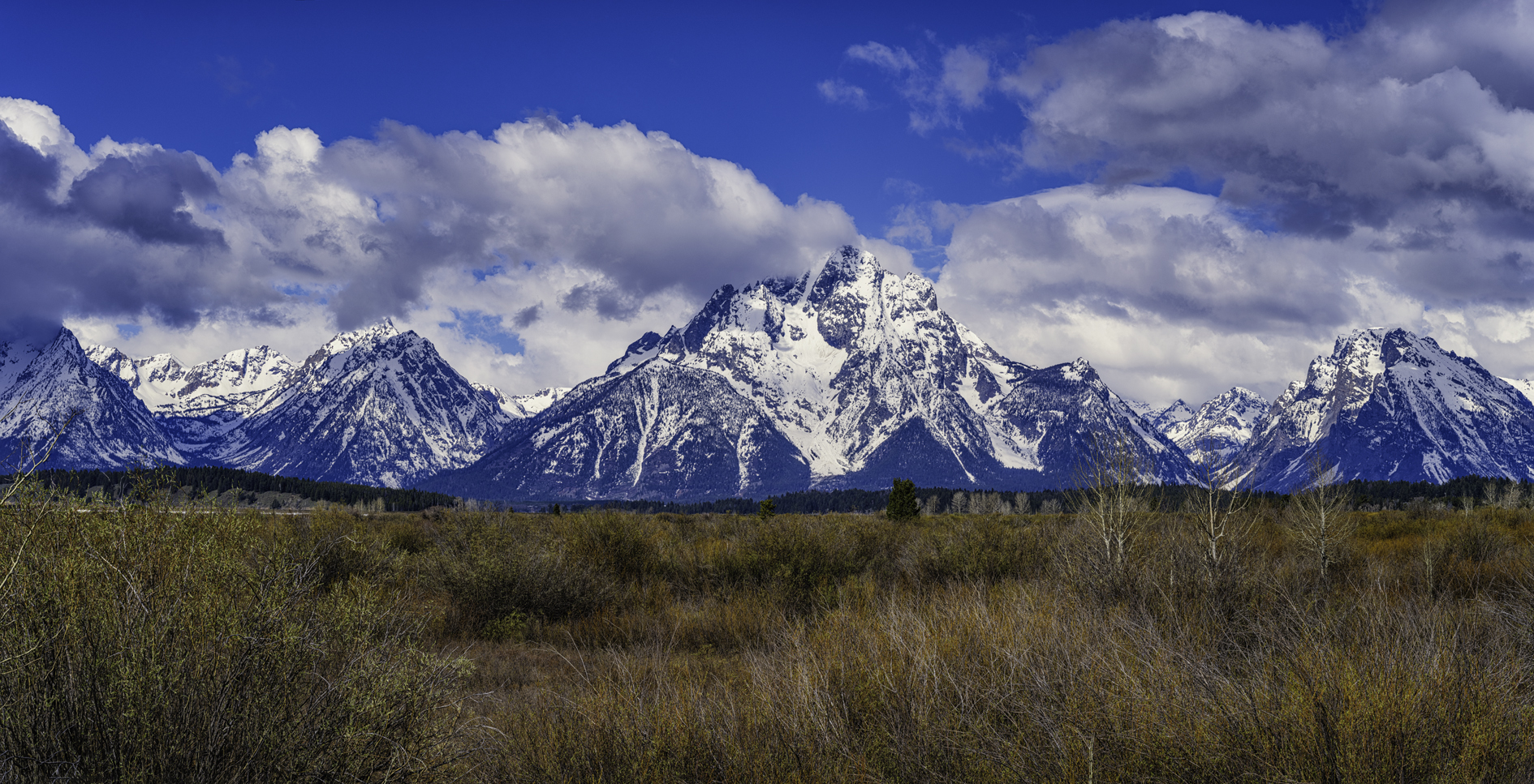 Spring Morning at the Tetons
