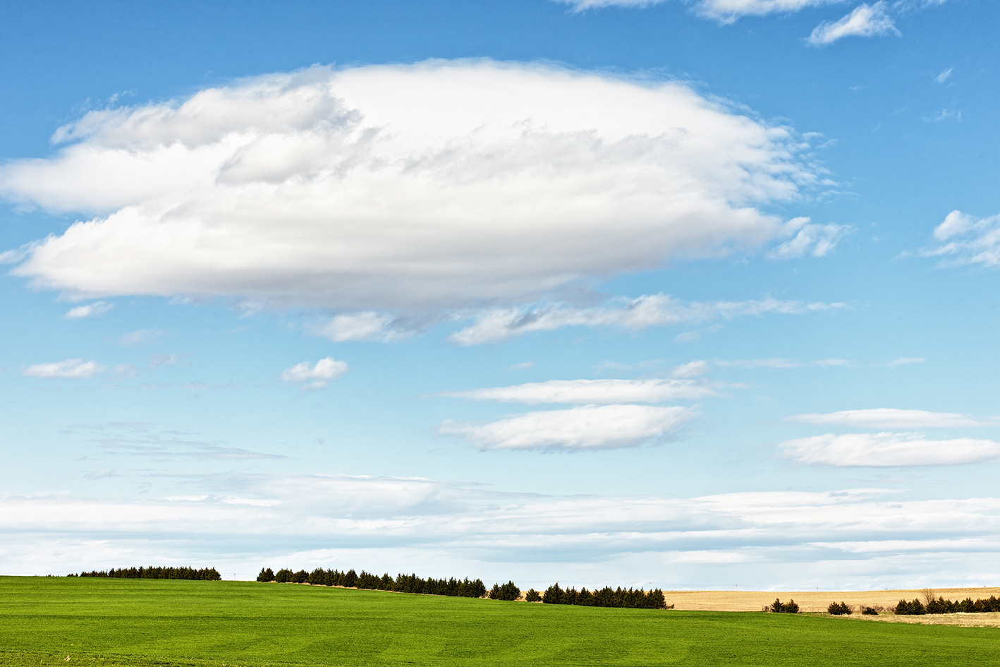 Spring Sky