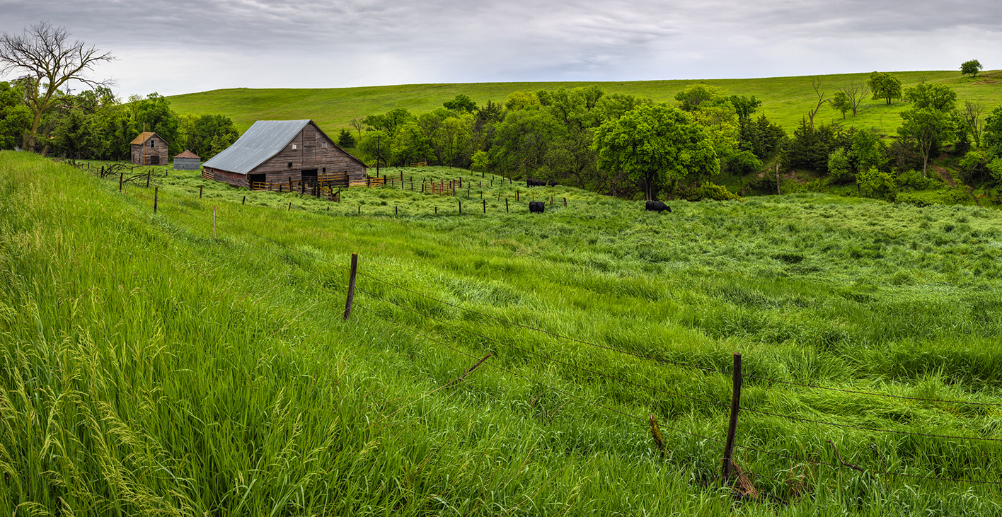 Springtime Along the Creek IV