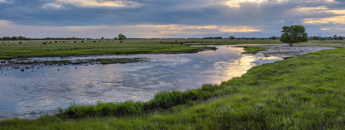 Springtime Along the Elkhorn