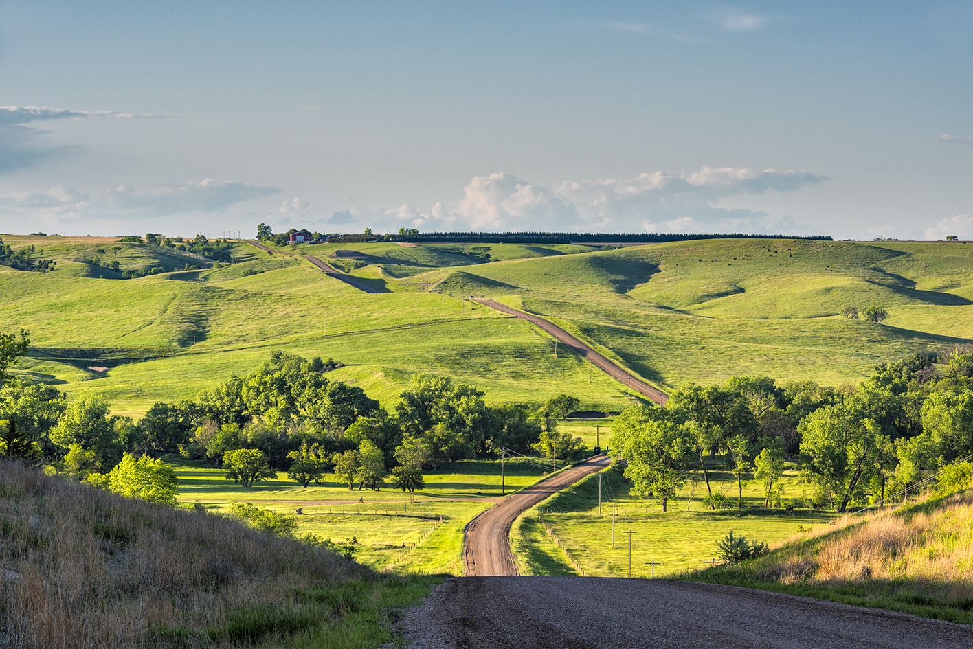 Springtime in the Sandhills