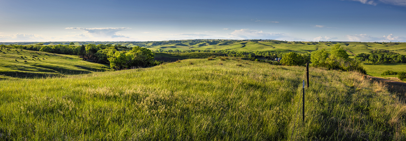 Springtime in the Sandhills III