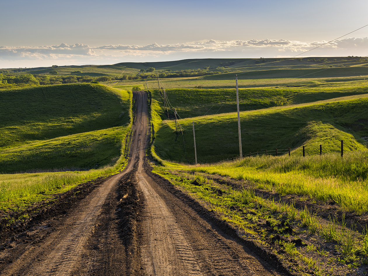 Springtime in the Sandhills IV