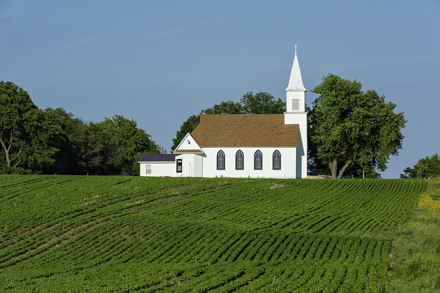 Steeple Chasing III