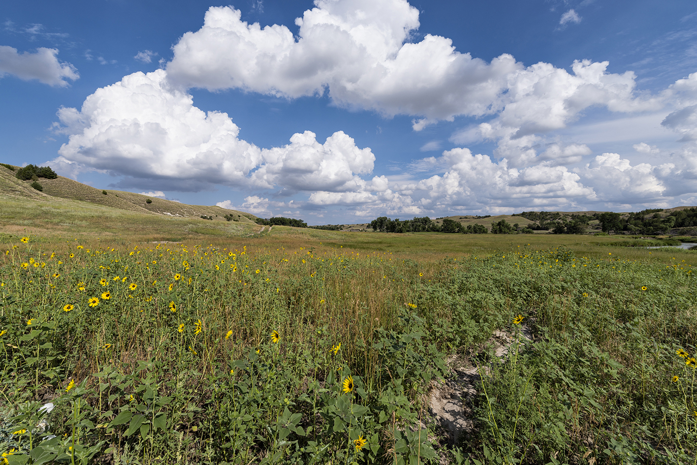 Summer Along the Middle Loup II