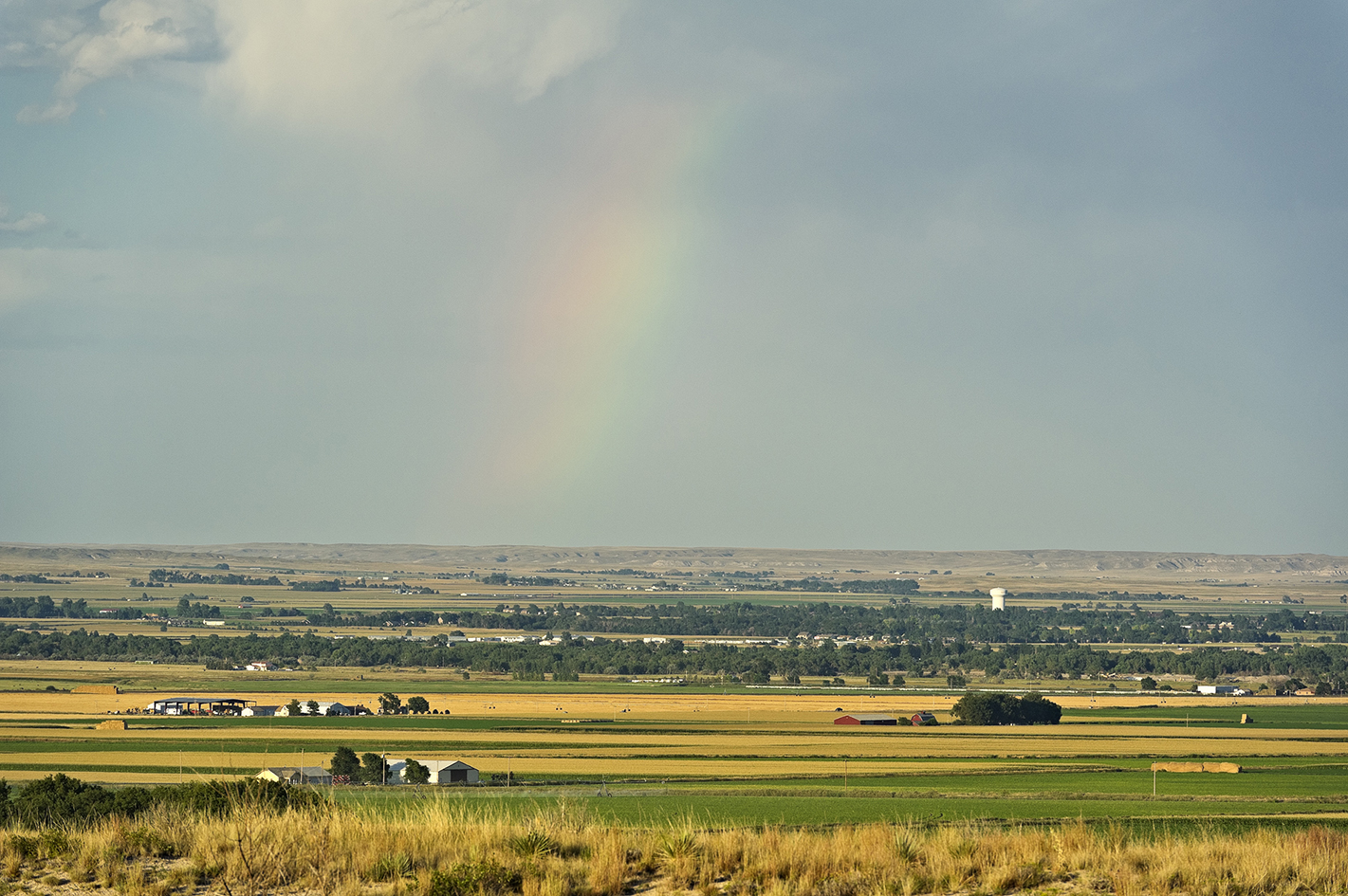 Summer in the Valley