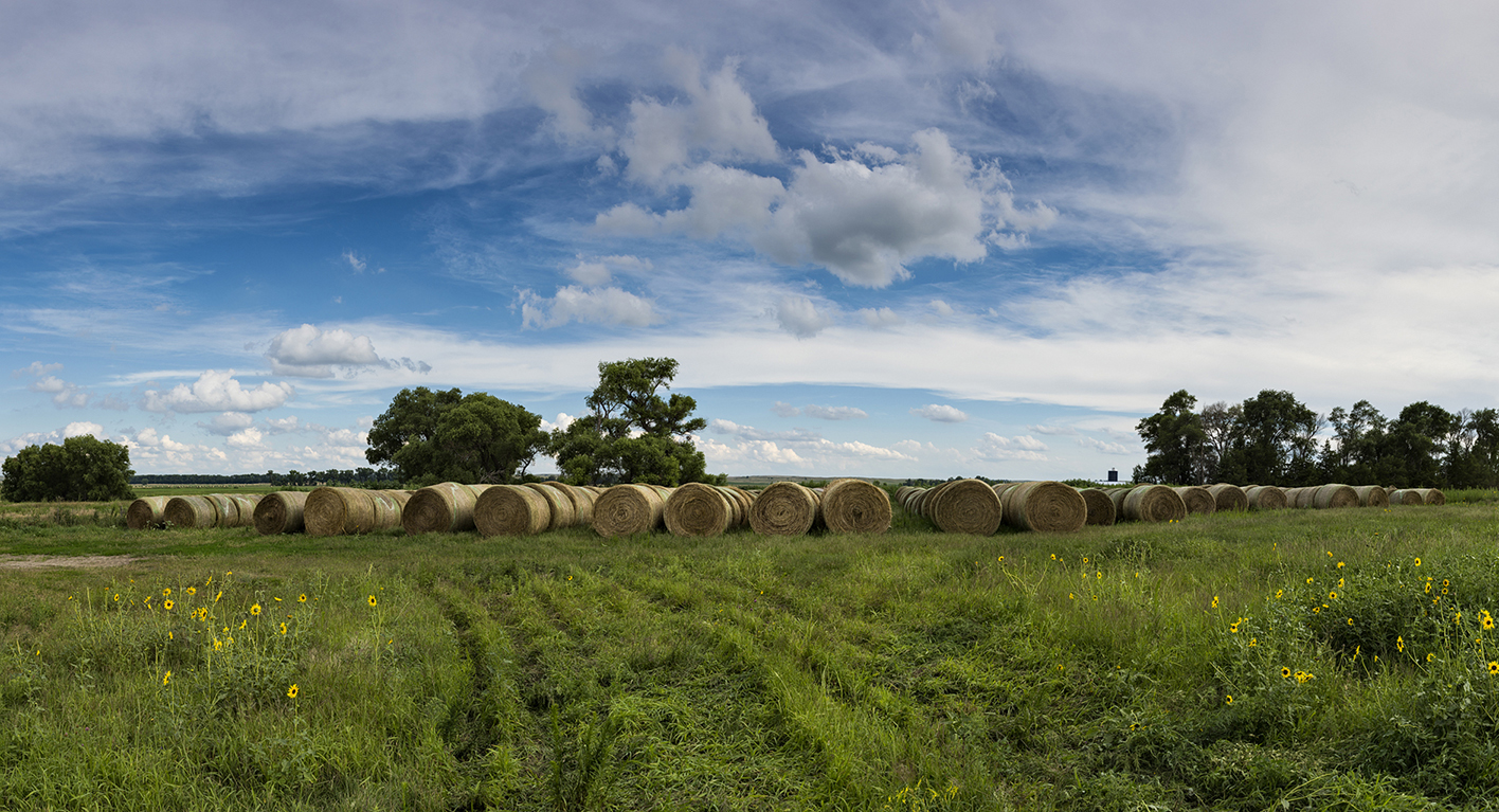 Summer on the Prairie III