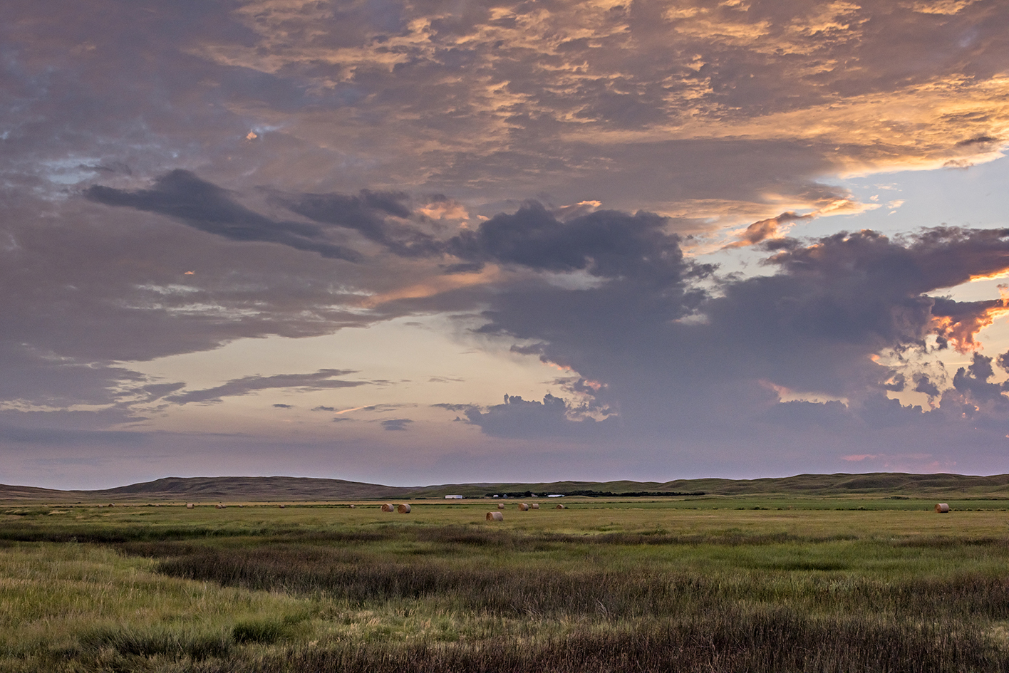 Summer Pasture Evening II