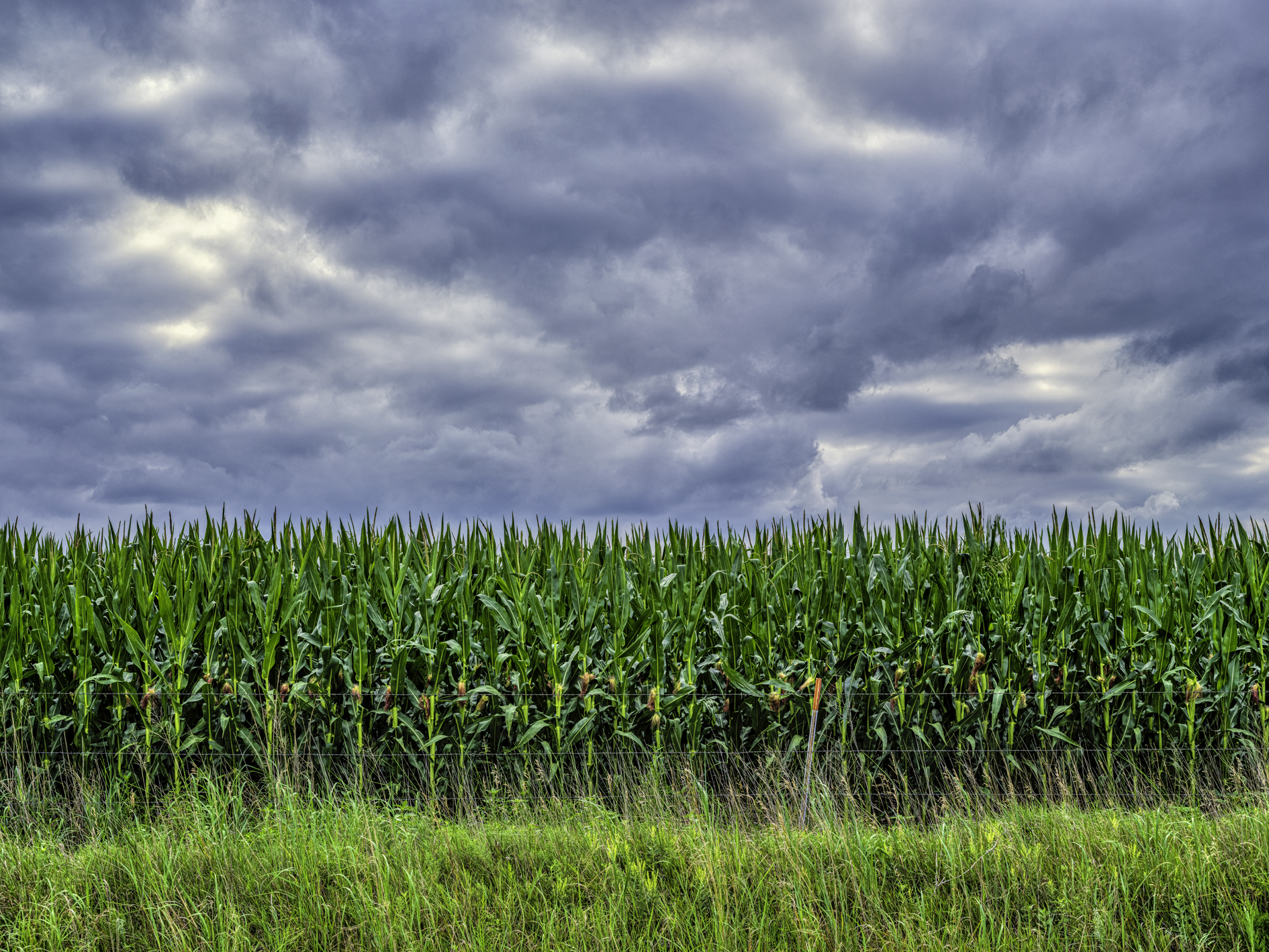 Summer Silk and Tassels