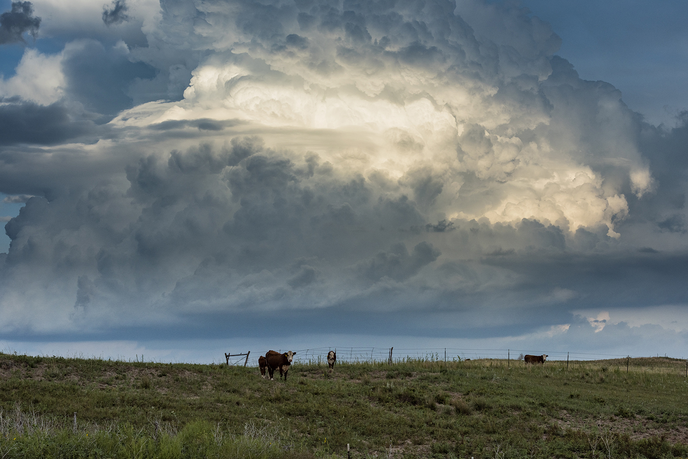 Summer Skies in the Sandhills VI