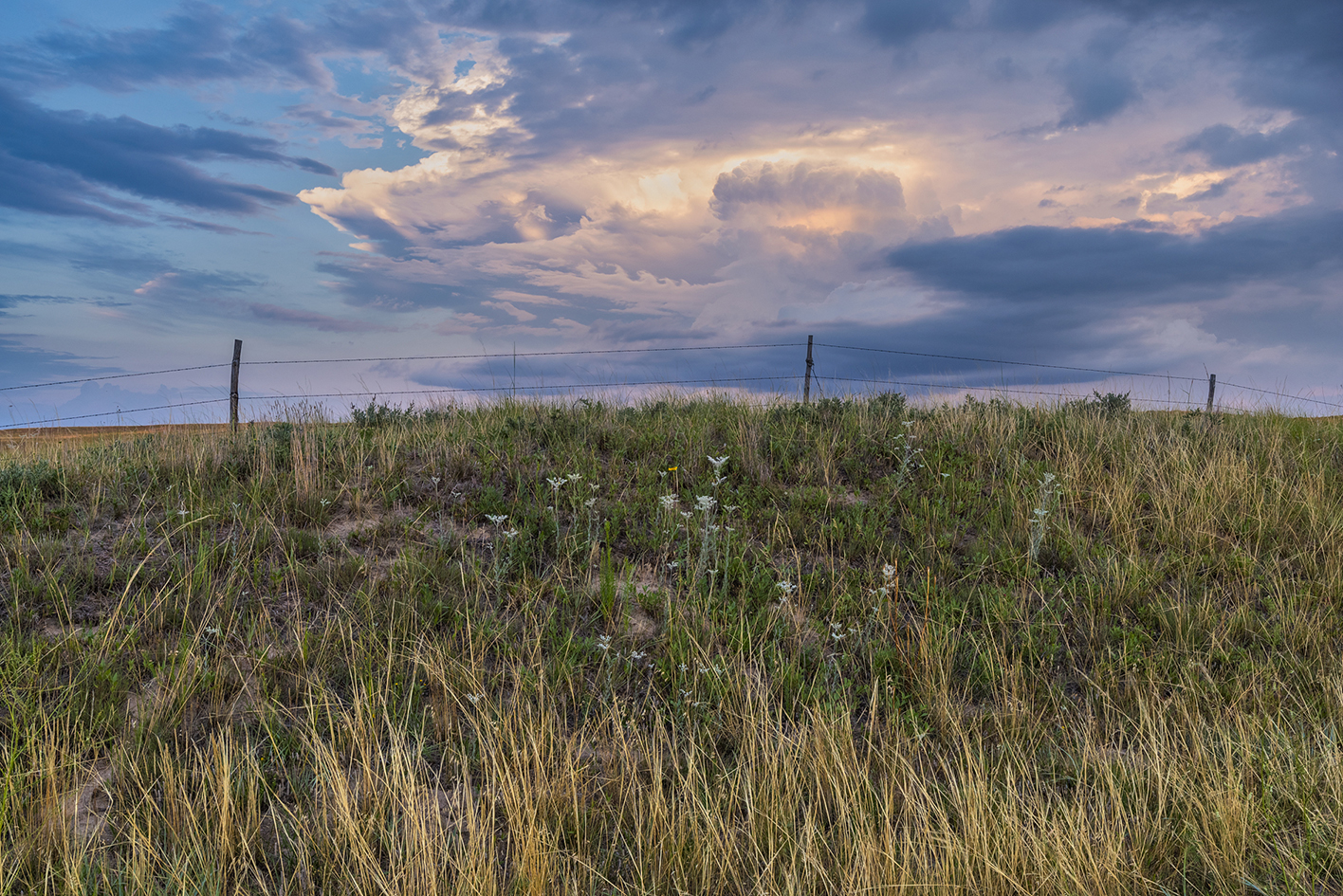 Summer Skies in the Sandhills VII