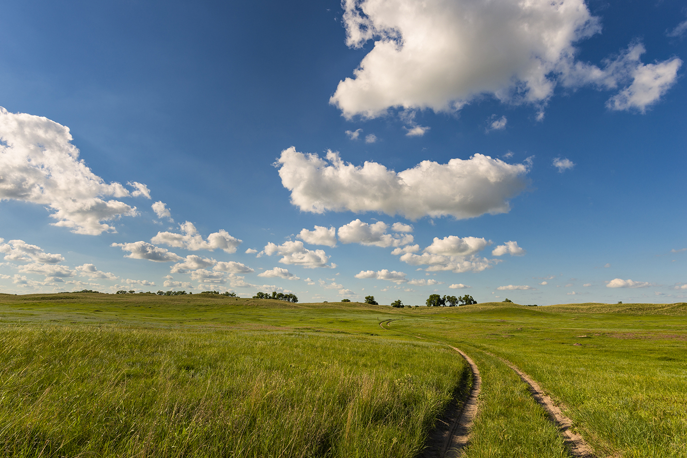 Summer Trail II