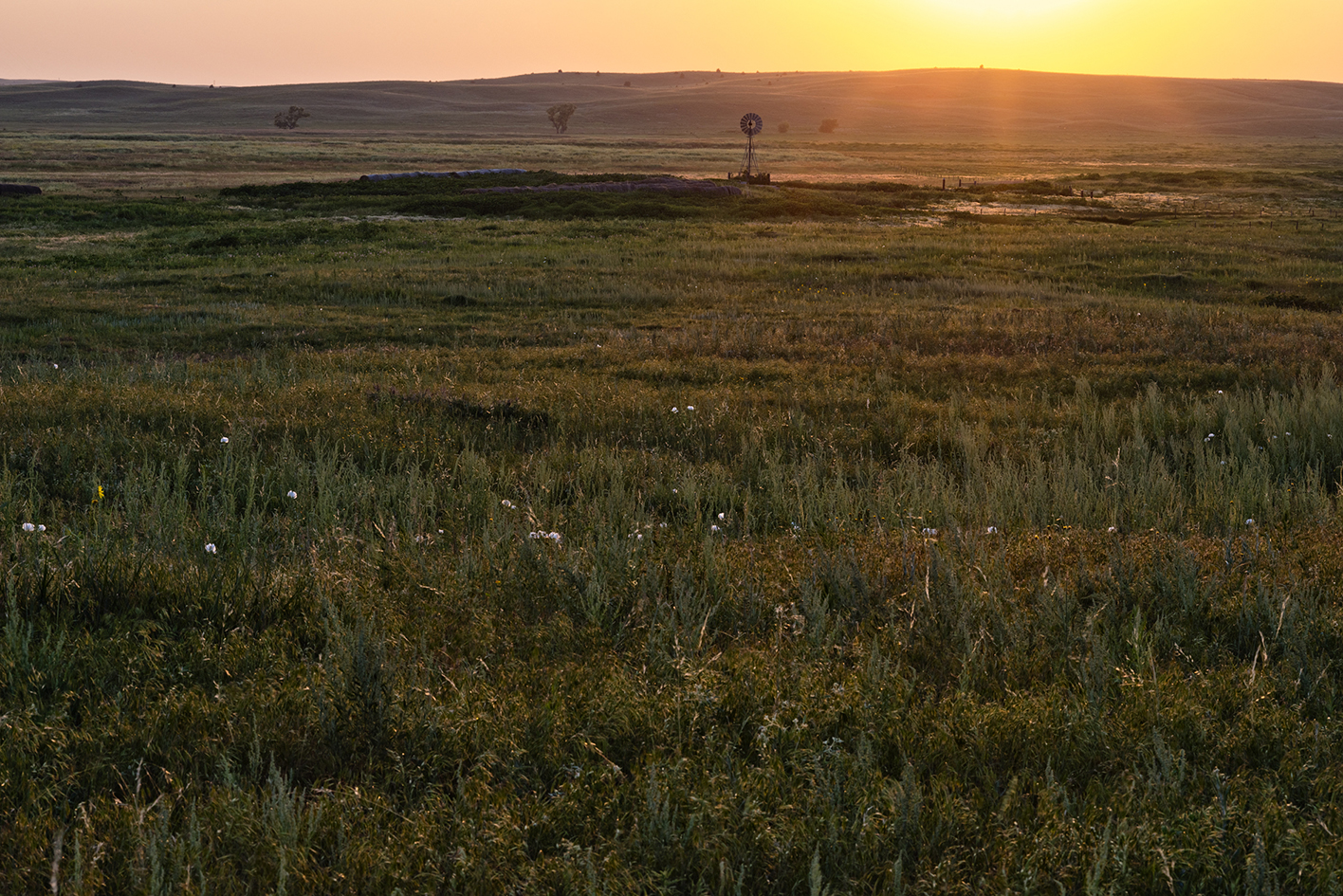 Sundown on the Pasture