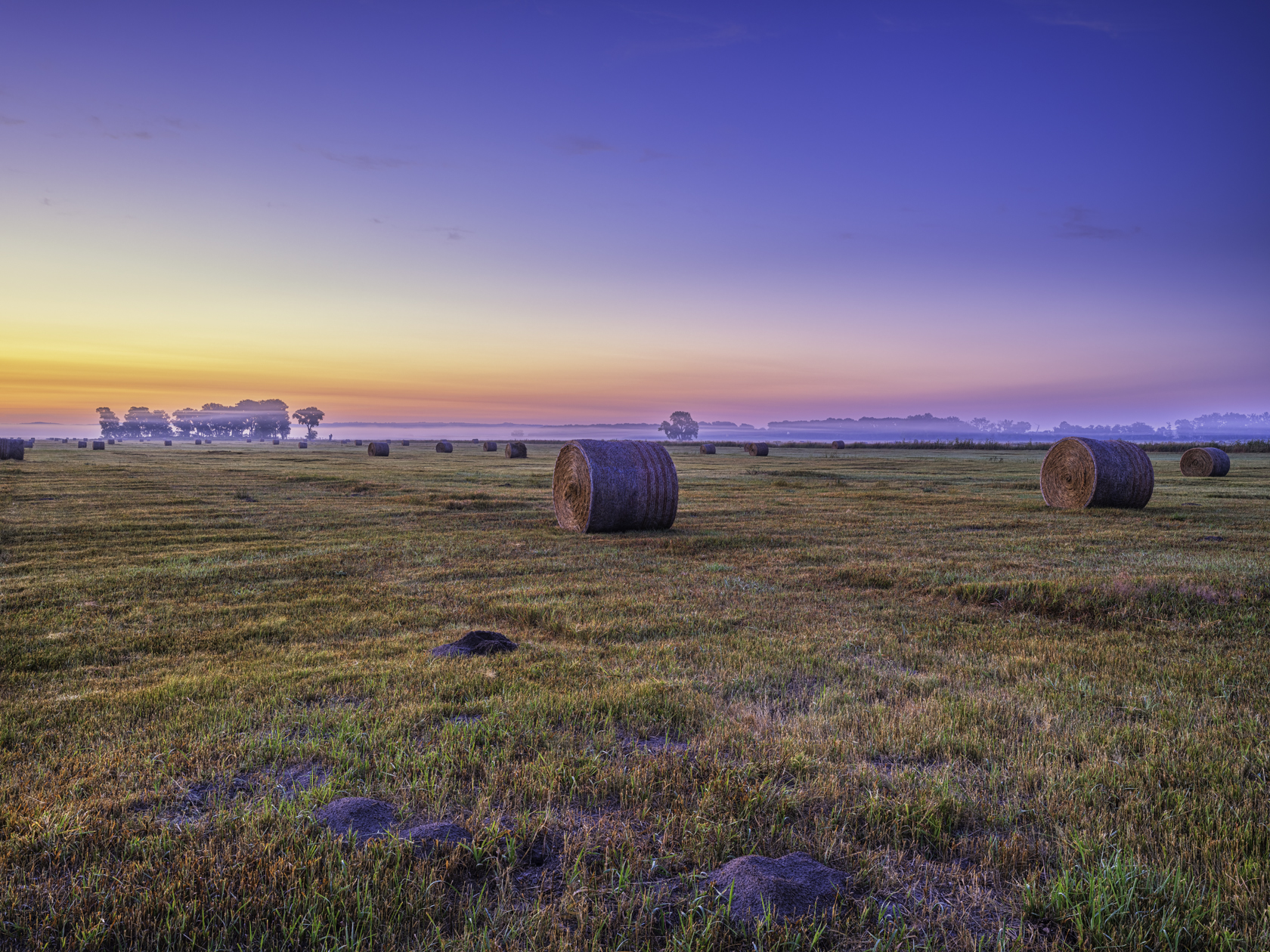 Sunrise Bales