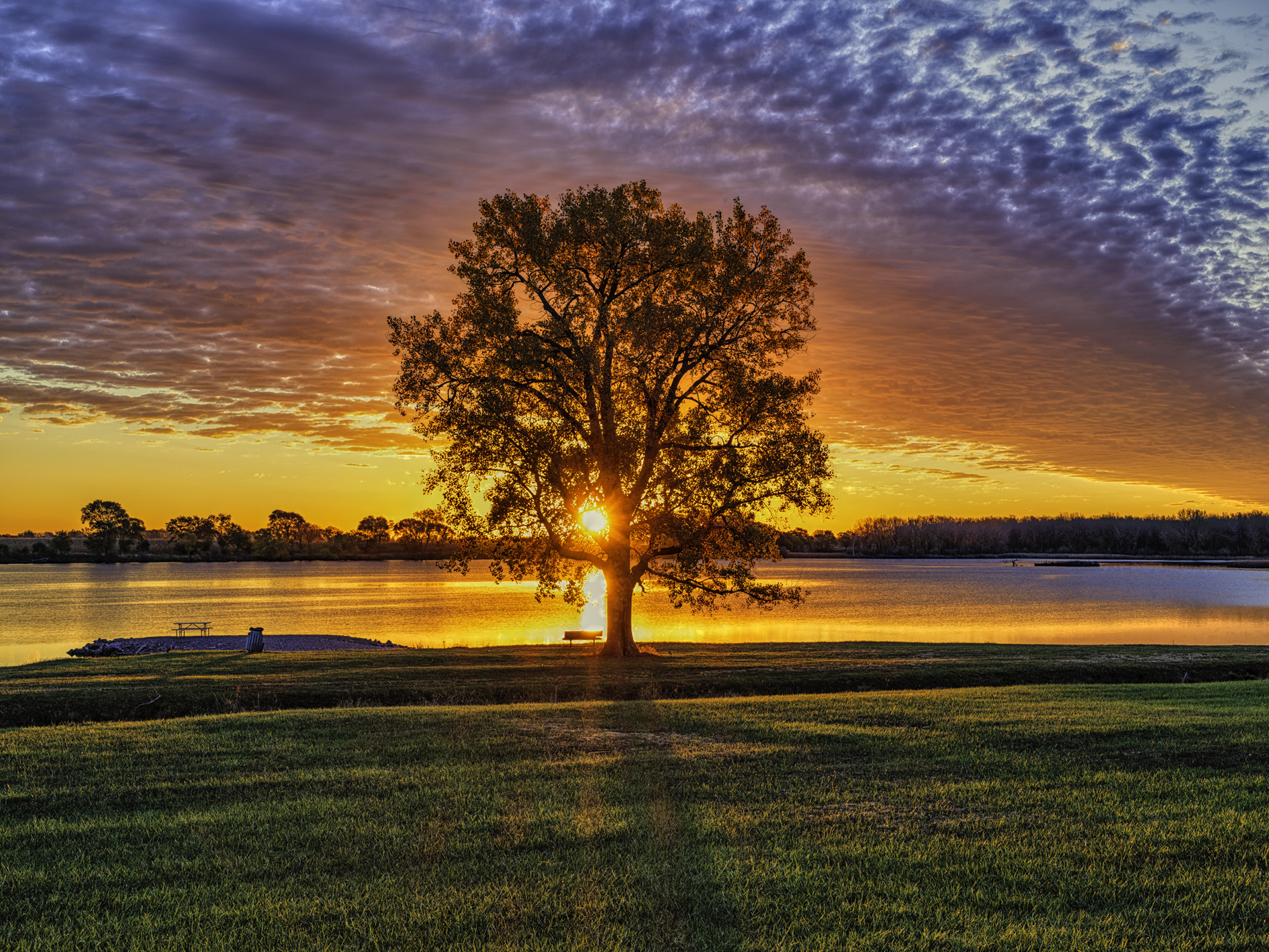 Sunrise Cottonwood II