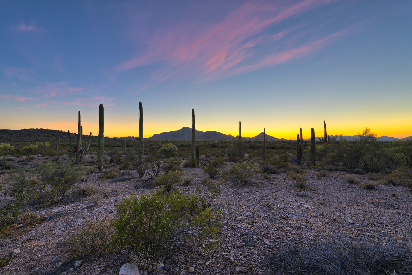 Sunset at the Ajo