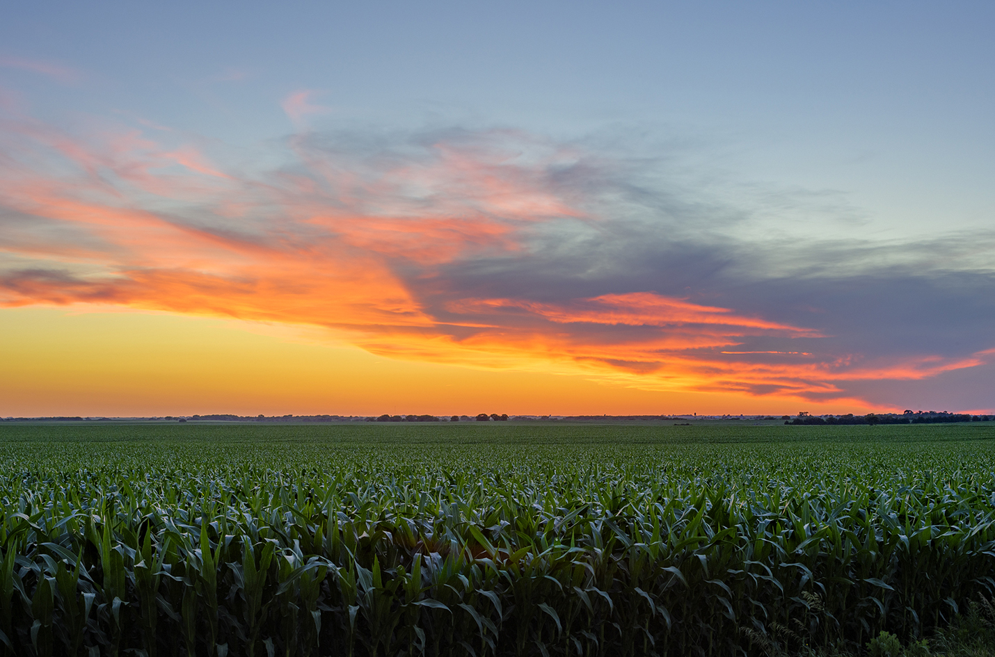 Thayer County Evening