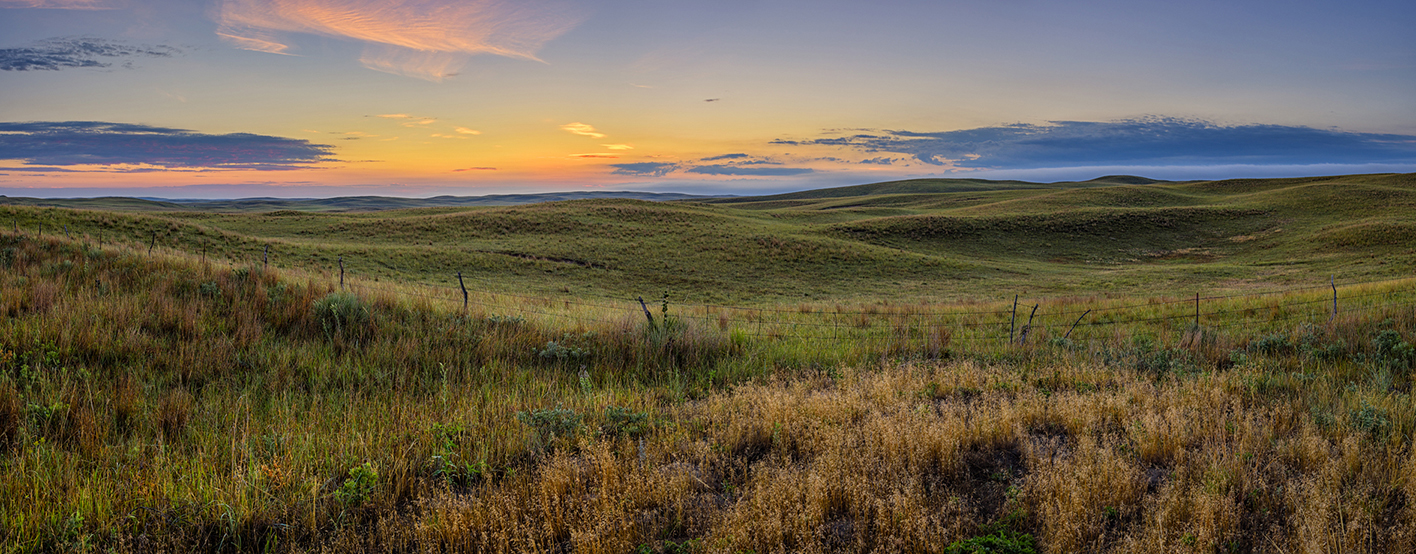 Thomas County Morning II