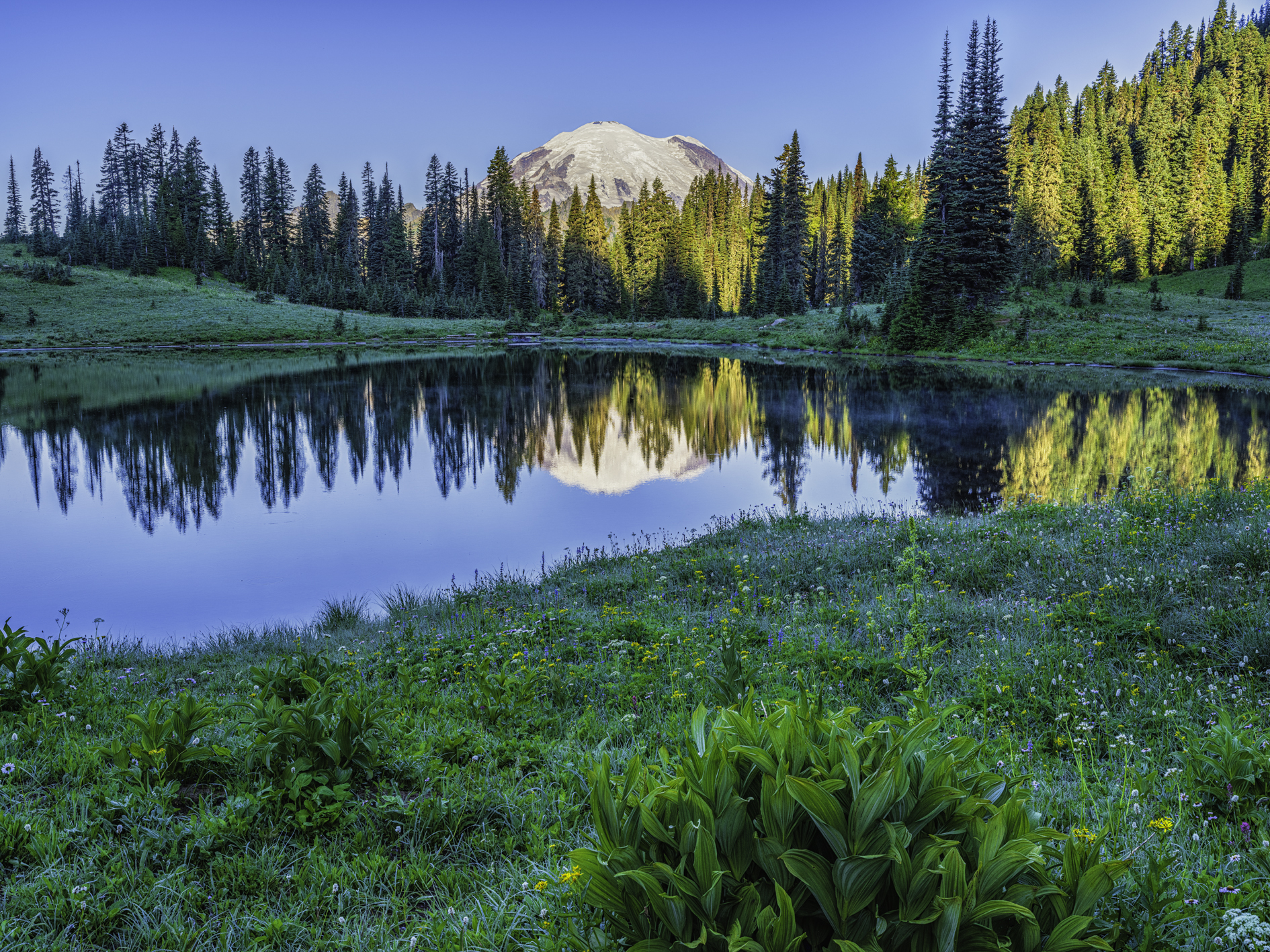 Tipsoo Lake Morning