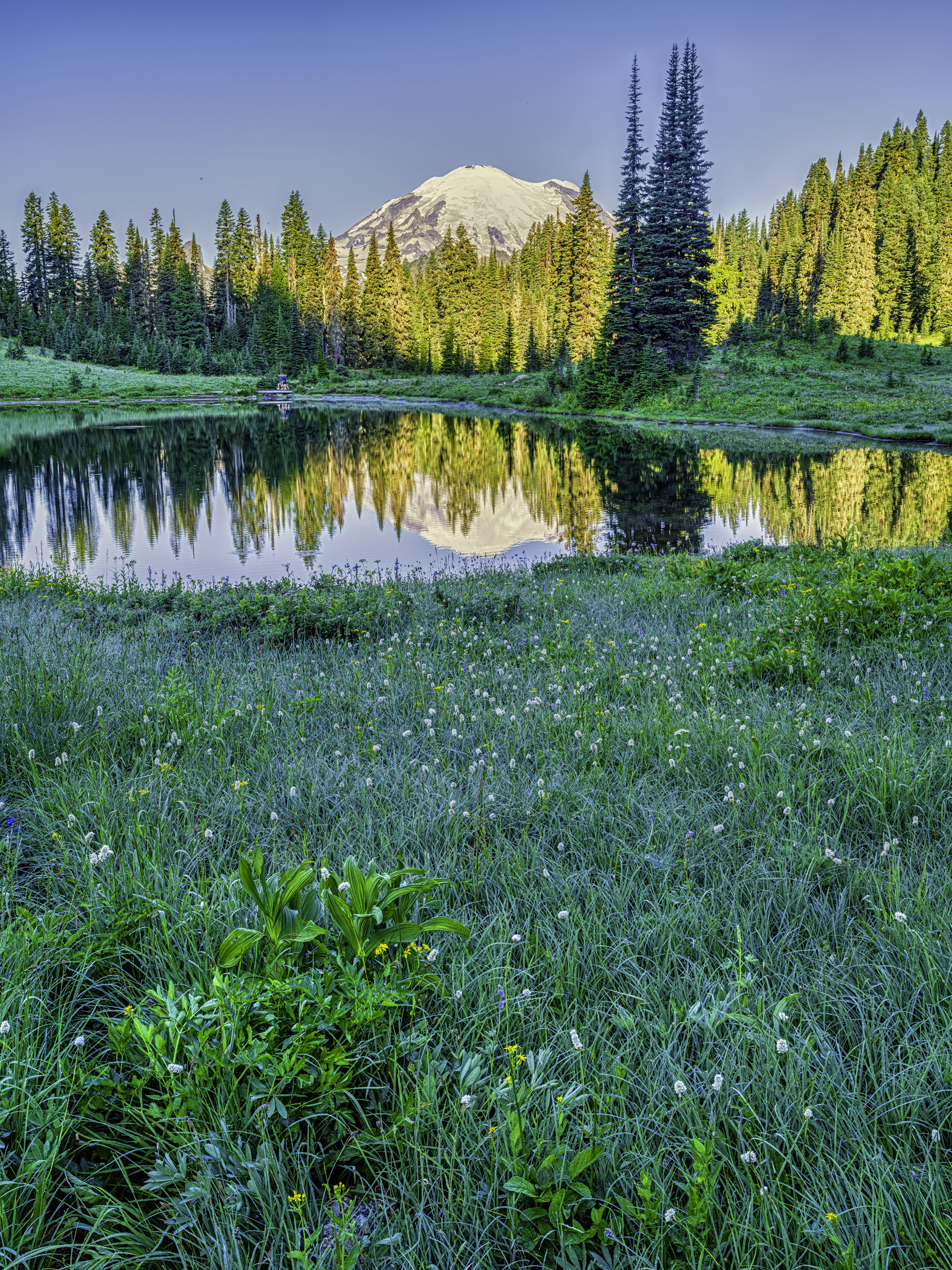 Tipsoo Lake Morning II