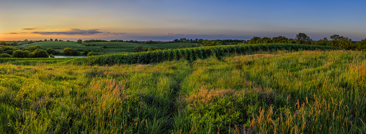 Trailing into Twilight