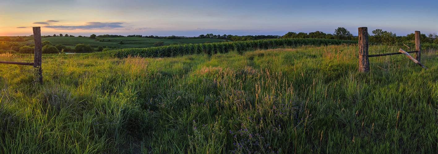 Trailing into Twilight II