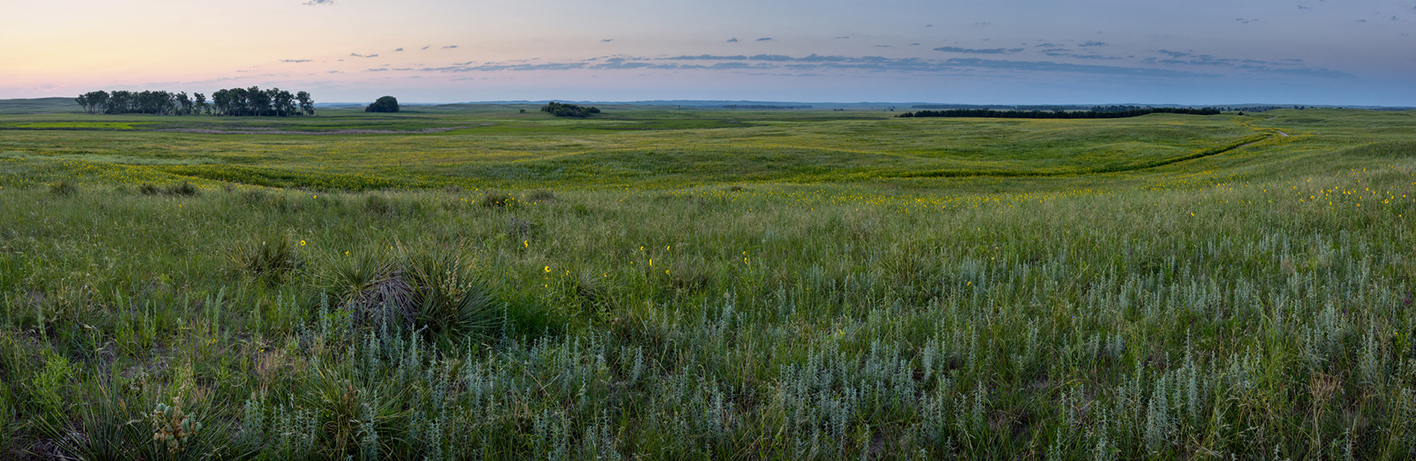 Twilight on the Pasture II